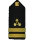 Shoulder Boards, Sr. Lt. (Propeller & 2 stripes) (2/pk) (Hard)