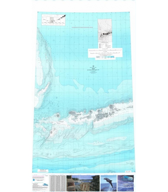 Adak - 1810N-2