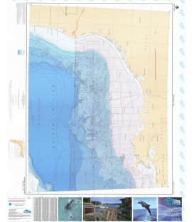 Western Gulf of Mexico PT.1 - BR-7PT1