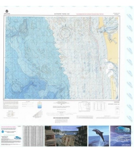Copalis Beach - F-55