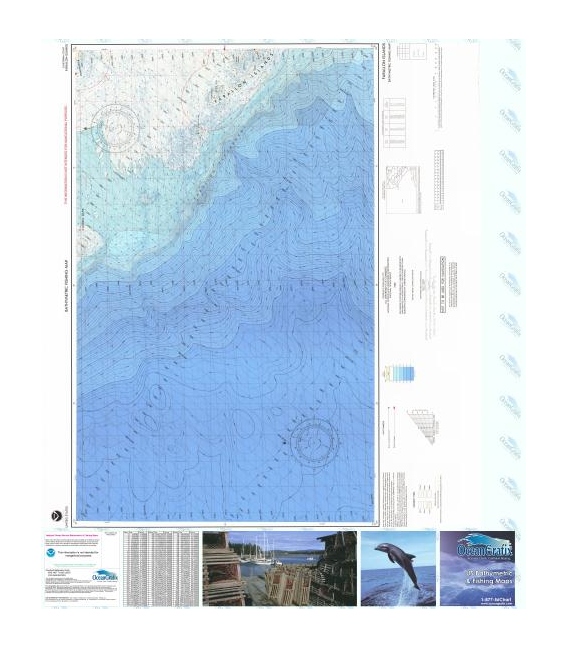 Farallon Islands - F-98