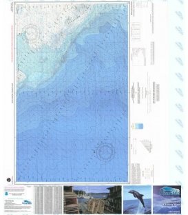 Farallon Islands - F-98
