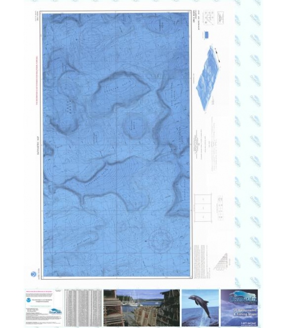 Orca Basin - LM-161