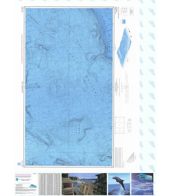 Vaca Basin - LM-162