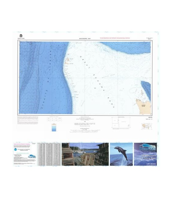 Bimini- NG