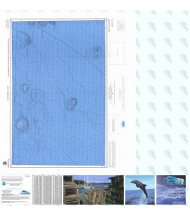 Bear Seamount - NJ