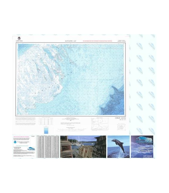 Caorsair Canyon - NK