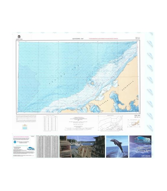 Cold Bay - NN