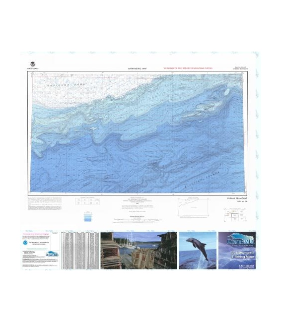 Unimak Seamount - NN
