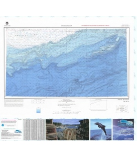 Unimak Seamount - NN