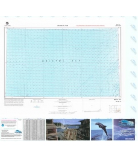 Bristol Bay- NO
