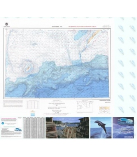 Middleton Island - NO
