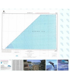 Bossler - NP