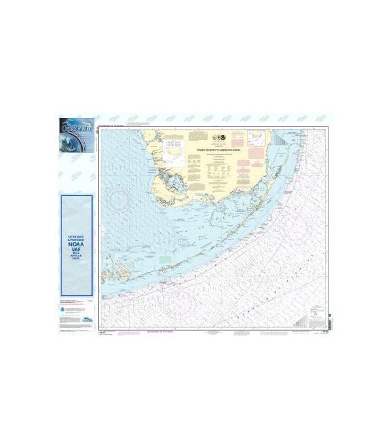 NOAA Chart 11450 Fowey Rocks to American Shoal