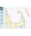 NOAA Chart 13246 Cape Cod Bay
