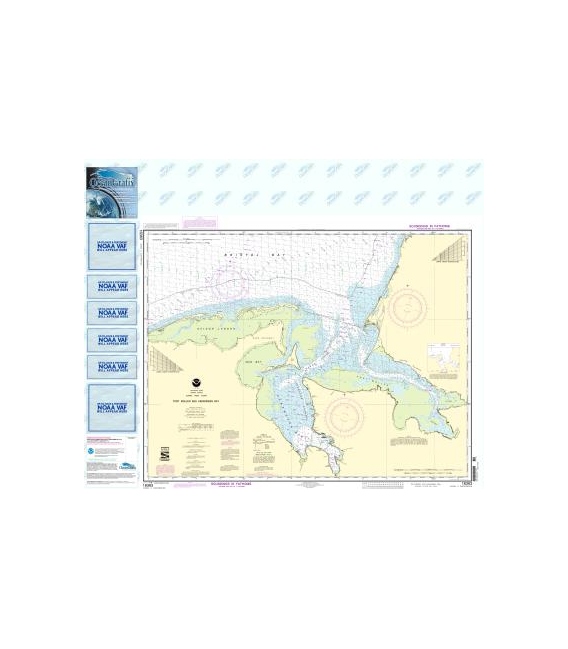 NOAA Chart 16363 Port Moller and Herendeen Bay