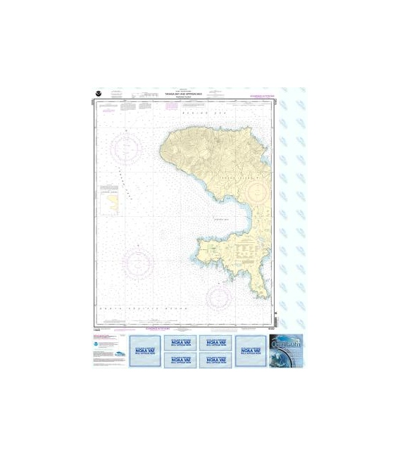 NOAA Chart 16462 Andrenof. Islands Tanga Bay and approaches