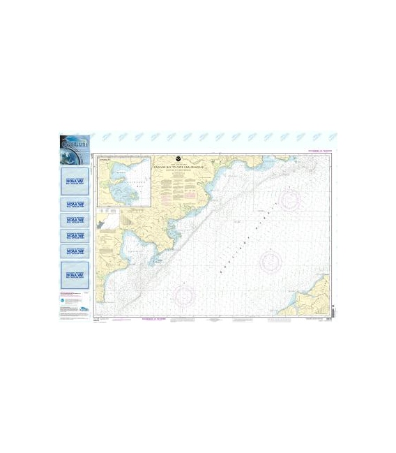 NOAA Chart 16575 Dakavak Bay to Cape Unalishagvak - Alinchak Bay