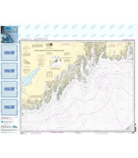 NOAA Chart 16680 Point Elrington to East Chugach Island