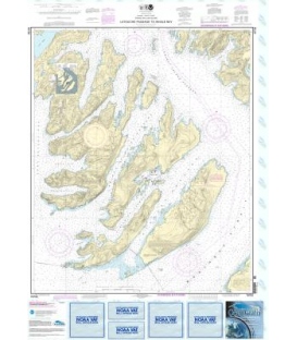 NOAA Chart 16702 Latouche Passage to Whale Bay