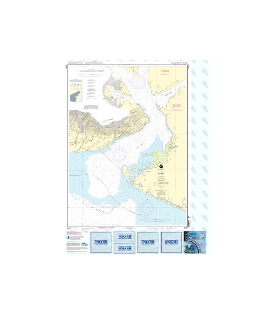 NOAA Chart 16741 Icy Bay