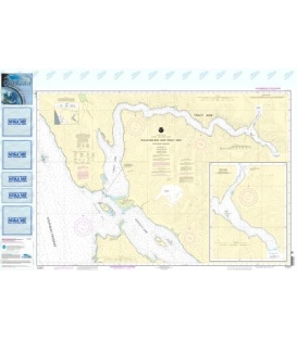 NOAA Chart 17311 Holkham Bay And Tracy Arm - Stephens Passage