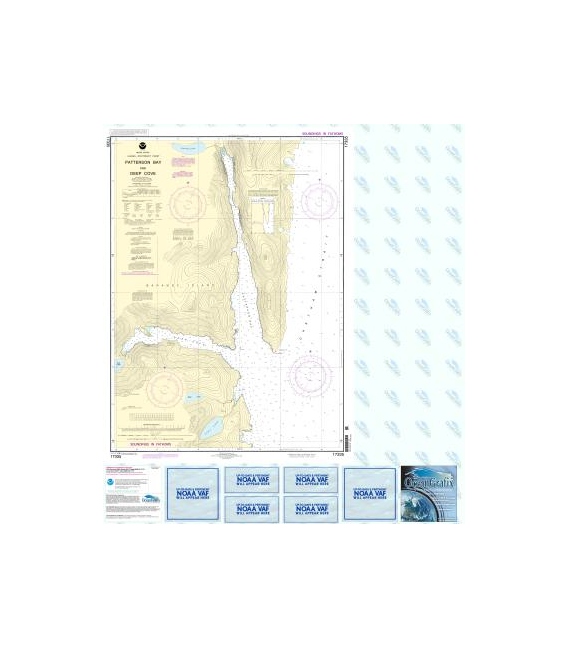 NOAA Chart 17335 Patterson Bay and Deep Cove