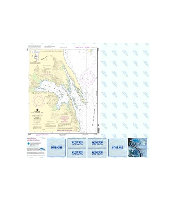 NOAA Chart 17362 Gambier Bay, Stephens Passage