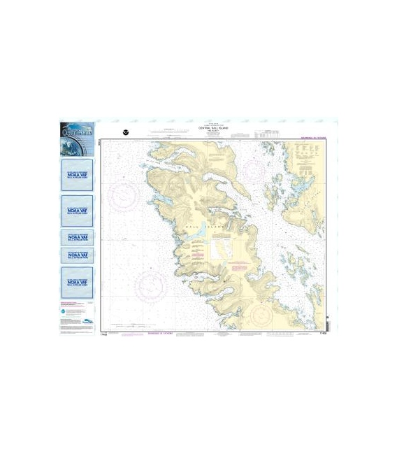 NOAA Chart 17408 Central Dall Island and vicinity