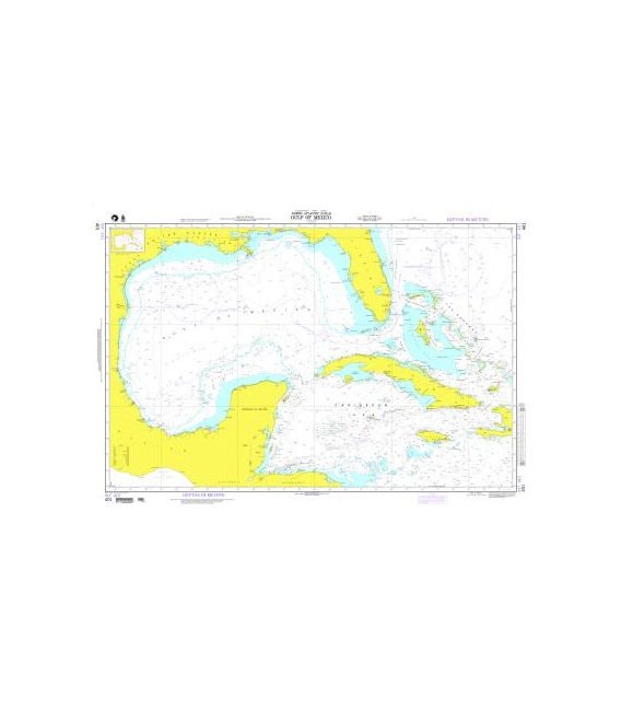 DM 401 Gulf of Mexico