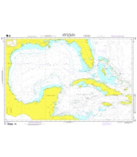 DM 401 Gulf of Mexico