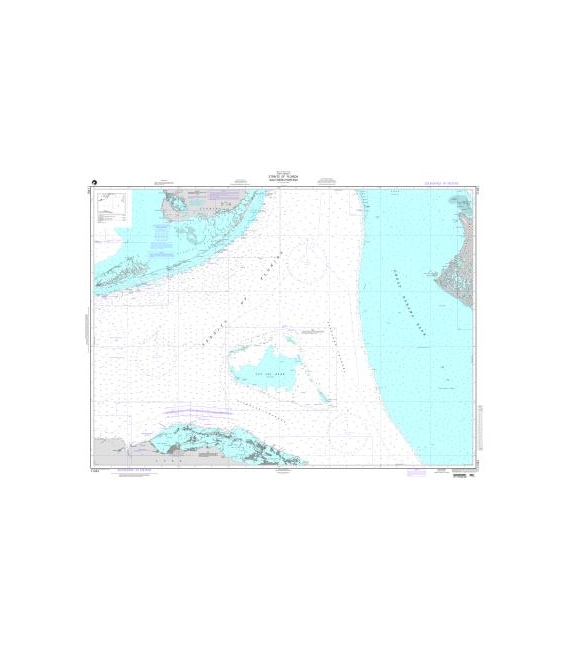 DM 11461 Straits of Florida-Southern Portion