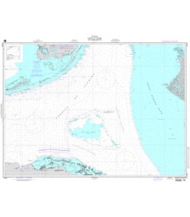 DM 11461 Straits of Florida-Southern Portion