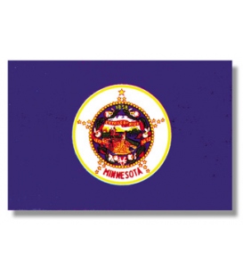 Minnesota State Flag