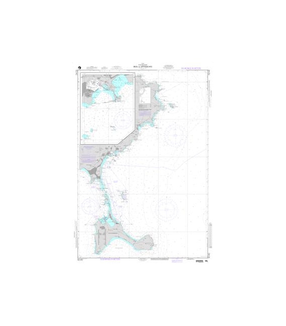 DM 52142 Ibiza and Approaches