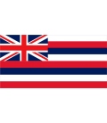 Hawaii State Flag
