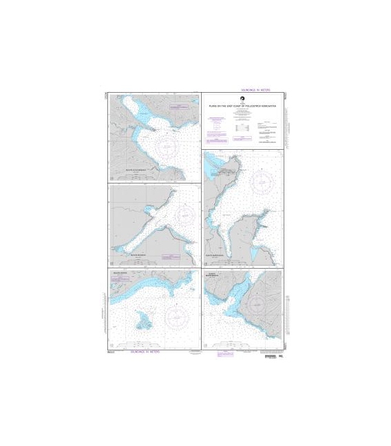 DM 96521 Plans on the East Coast of Poluostrov Kamchatka A. Bukhta Vilyuchinskaya