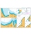 British Admiralty Nautical Chart 918 Ports on the North Coast of Jawa