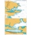 British Admiralty Nautical Chart 1614 Stanley Harbour and Approaches