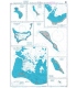 Plans in the Gilbert Islands