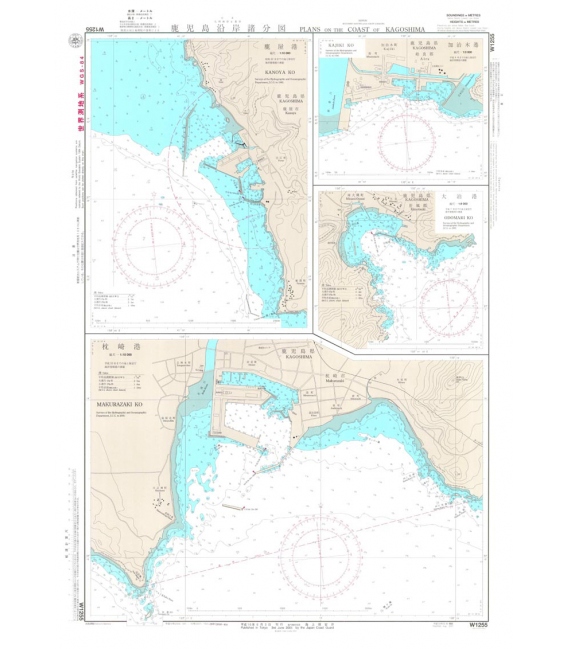 W1255 Plans on the Coast of Kagoshima