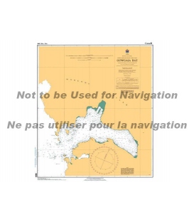 CN 3864 Gowgaia Bay