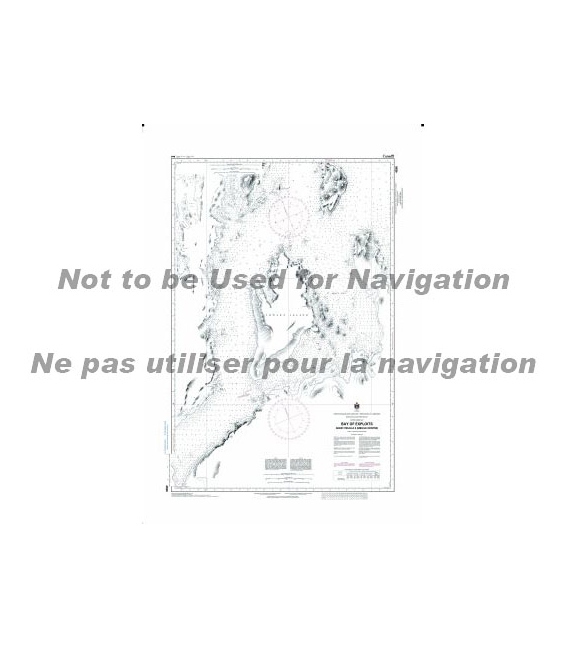 CN 4596 Bay of Exploits Sheet - feuille II (Middle - centre)