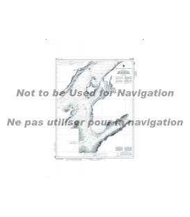 CN 4597 Bay of Exploits Sheet - feuille III (South - sud)