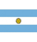 Argentina Flag (Govt)