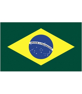 Brazil Courtesy Flag