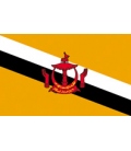 Brunei Courtesy Flag