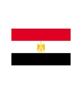 Egypt Courtesy Flag