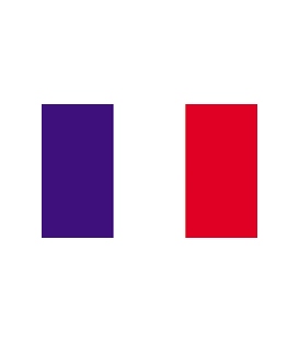 France Courtesy Flag