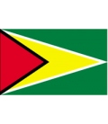 Guyana Courtesy Flag